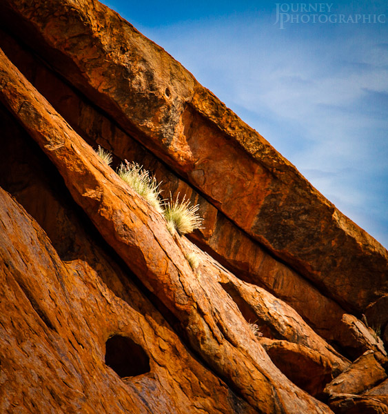 Detail picture of the rock and grass of Uluru (Ayers Rock), Central Australia